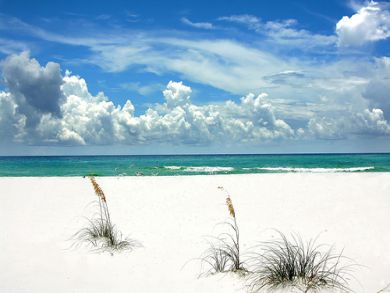 Three Bedroom Destin Rentals